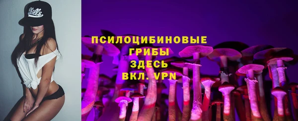бошки Абаза