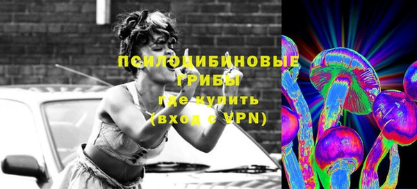 бошки Абаза