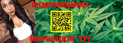 молекула духа Комсомольск-на-Амуре