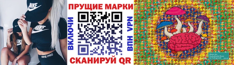 мега tor  Камень-на-Оби  Марки 25I-NBOMe 1,5мг  что такое наркотик 
