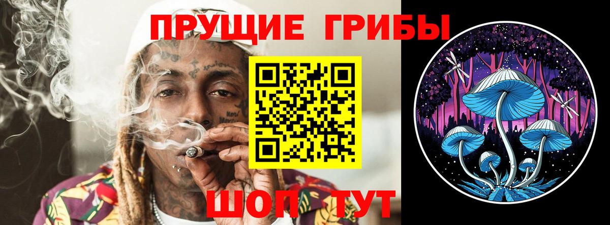 Галлюциногенные грибы мухоморы  Вход с VPN  Камень-на-Оби  Псилоцибиновые грибы MAGIC MUSHROOMS 